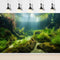 Aquarium Background Freshwater Ecosystem Aquarium Backdrop Algae Aquatic Plants Moss Aquatic Grass with Sunlight Terrarium Background Amazing Clea...