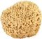 Sea Wool Sponge 5-6" (Large) by Bath & Shower Express ® Natural Renewable Resource, Esponja for Exfoliating and Washing Body...