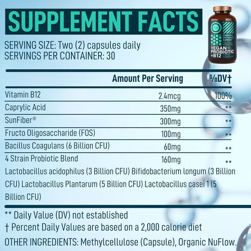 Vegan Probiotic Plus B12-22 Billion CFU Synbiotics Probiotics & Prebiotic for IBS, Digestive & Gut Health, Mood Support - B12 with FOS Pre Pro Pos...