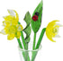 Red Co. Decorative Glass Lovely Flower Bouquet with Vase, Gift Boxed – Yellow Daffodils...