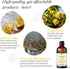 Avatra Lemon Essential Oil for Skin & Aromatherapy | Natural & Undiluted Essential Oil for Diffuser, Household Cleaning | Therapeutic Grade Essent...