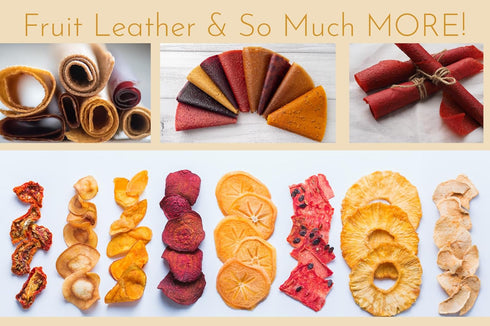 2 Fruit Leather Silicone Dehydrator Sheets with EDGES - NON-Toxic for Nesco Round Dehydrators Lip Mold Hold Batter Liquid Fruit Roll Up Fruit Leat...