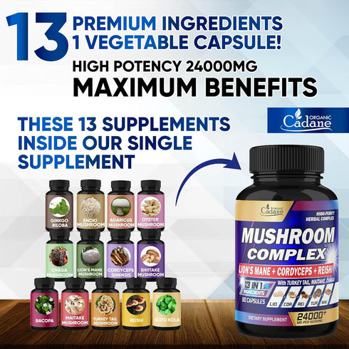 24000mg Mushroom Complex Supplements - Brain, Memory, Energy Production & Immune System - 13in1 Concentrated with Lions Mane Mushroom, Reishi, Tur...