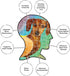 AQUARIUS Weiner Dog Puzzle (Slim 1000 Piece Jigsaw Puzzle) - Glare Free - Precision Fit - Officially Licensed Merchandise & Collectibles - 12 x 36...
