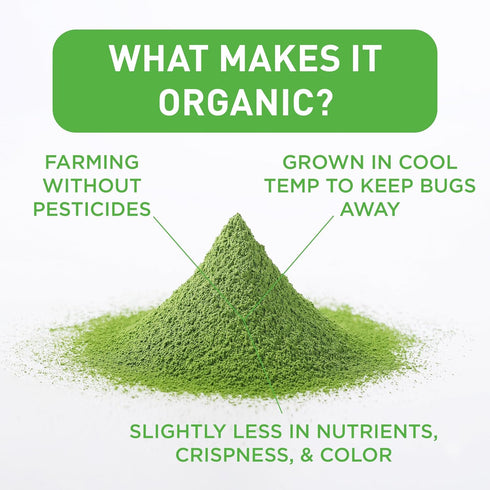 Aiya Certified USDA Organic Culinary Grade Matcha Green Tea Powder - Ideal for Baking, Lattes, Smoothies - Gluten-Free & Non-GMO - 100g Bag (3.53 ...