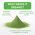 Aiya Certified USDA Organic Culinary Grade Matcha Green Tea Powder - Ideal for Baking, Lattes, Smoothies - Gluten-Free & Non-GMO - 100g Bag (3.53 ...