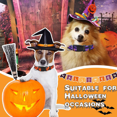 6 Pcs Halloween Dog Collars for Dogs Pumpkin Basic Dog Collars Adjustable Lightweight Holiday Dog Collar Comfortable Dog Collars with Plastic Buck...