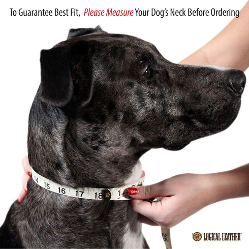 Premium Leather Dog Collar - Best Full Grain Heavy Duty Genuine Leather Collar (Orange, Medium)...
