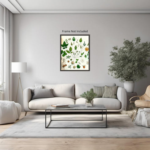 Posterizer 1 pcs-botanical illustration of a variaty of plants-educational art 3-Floral & Botanical Art Gift for Men Women Entrepreneur Teens Dec...