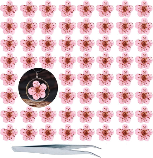 Dried Pressed Flowers for Resin, 60PCS Pink Real Pressed Dried Little Plum Blossom Flower with Forceps for Scrapbooking DIY Candle Decor Jewelry S...