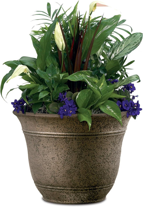 The HC Companies 7.5 Inch Sierra Round Self Watering Planter - Weather Resistant Plastic Resin Flower Garden Plant Pot Container, Celtic Bronze...