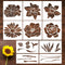 Flower Stencils for Painting - 10 Pcs Large Flower Stencils for Painting on Wall, Reusable Stencils Templates for Painting on Wood Wall Furniture,...