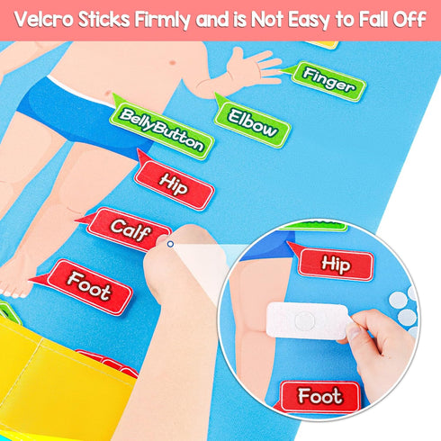 35 Pcs Body Parts for Kids Felt Board Set Preschool Learning Interactive Educational Human Teaching Storytelling Early Learning Play Kit Interacti...