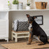 Bone Dry Pet Storage Collection Lattice Paw Print, Small Rectangle, Black...