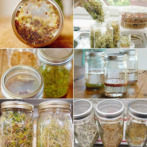 304 Stainless Steel Sprouting Lids for Wide Mouth Mason Jars and Making Organic Sprout Seeds 6 Pcs...