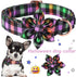 ARING PET Halloween Dog Collar, Cotton Fall Girl Dog Collar with Flower, Cute Adjustable Halloween Plaid Dog Collars with Metal Buckle...
