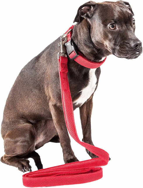Pet Life ® 'Aero Mesh' 360 Degree Dual Sided Comfortable and Breathable Adjustable Fashion Mesh Dog Collar and Dog Leash for Small Medium and Larg...