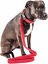 Pet Life ® 'Aero Mesh' 360 Degree Dual Sided Comfortable and Breathable Adjustable Fashion Mesh Dog Collar and Dog Leash for Small Medium and Larg...