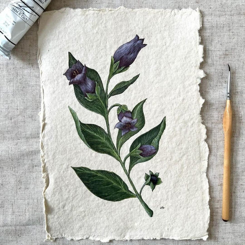 400 GSM / 25 Sheets - Rough/Textured Watercolor Drawing/Sketching Paper - 8"X6"(A5) - Handmade/Deckle Edge Paper Made from Virgin Egyptian Cotton ...