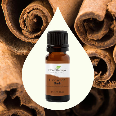 Plant Therapy Cinnamon Bark Essential Oil 10 mL (1/3 oz) 100% Pure, Undiluted, Cinnamon Oil for Diffuser, Spray, Candle Making, Spicy, Sweet Scent...