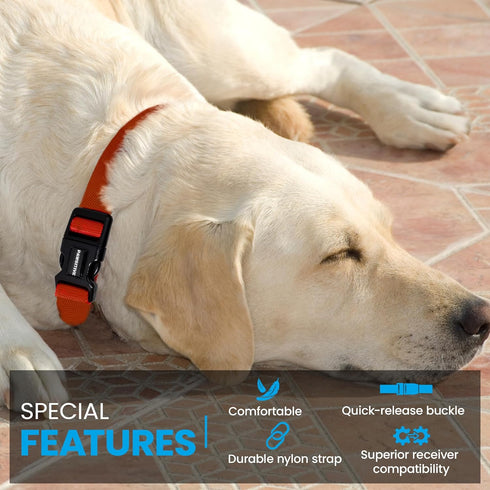 Nylon E Collar Replacement Strap - Shock Collar Replacement Collar, Fence Collar Replacement, Compatible with Pet Safe & Invisible Fence & Fits Mo...