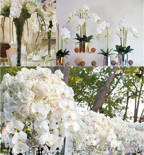 FagusHome 6 Pcs Artificial Phalaenopsis Flowers with 6 Bundles Leaves Artificial Orchid Flowers Stem Plants for Home Décor...