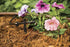 Rain Bird SW10-30PS Drip Irrigation Spot Watering Dripper/Emitter, 1 Gallon Per Hour, 30-Pack...