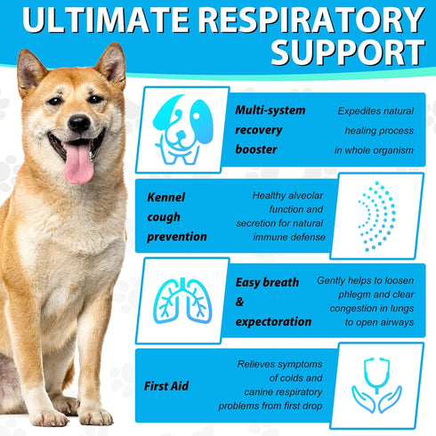 Dog Cough Treatmen - Kennel Cough for Dogs - Dog Allergy Relief - Natural Cough Supplement for Dogs - Herbal Drops for All Breeds & Sizes Natural ...