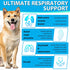 Dog Cough Treatmen - Kennel Cough for Dogs - Dog Allergy Relief - Natural Cough Supplement for Dogs - Herbal Drops for All Breeds & Sizes Natural ...