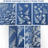 38 Sheets Cyanotype Paper A5 Sun Print Paper Kit with 2 Clear Acrylic Sheets High Sensitivity Solar Drawing Paper Nature Sun Printing Paper for Ad...
