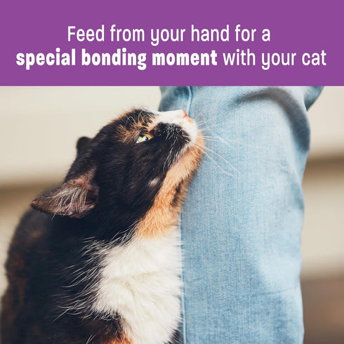 Wellness Lickable Treats Soft Puree Natural Grain Free Adult Cat Treats, Duck Recipe, Contains 6-0.4 Ounce Squeezable Tubes...