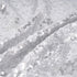 YOUR SMILE Pack of 2, New Luxury Series Silver Decorative Glitzy Sequin & Comfy Satin Solid Throw Pillow Cover Cushion Case for Wedding/Christmas,...