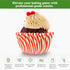Regency Wraps Greaseproof Professional Grade Baking Cups, Pack of 40, Standard Liners, Red Pisa Stripe, for Cupcakes, Muffins, Candy, Non Stick...