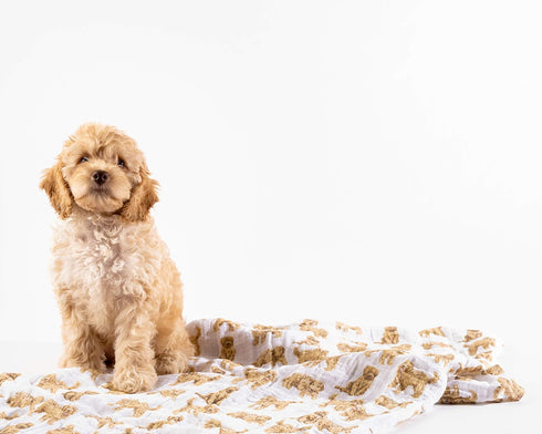 Mud Pie Golden Doodle Print Baby Swaddle Blanket, 47" x 47",...