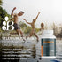 Bronson Selenium 200 mcg Immune & Antioxidant Support Essential Mineral, 250 Vegetarian Tablets...