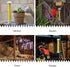 Trappify Hanging Fly Traps Outdoor: Fruit Fly Traps for Indoors | Gnat Traps for House Indoor | Fly Trap Indoor - Disposable Sticky Fly Trap for I...