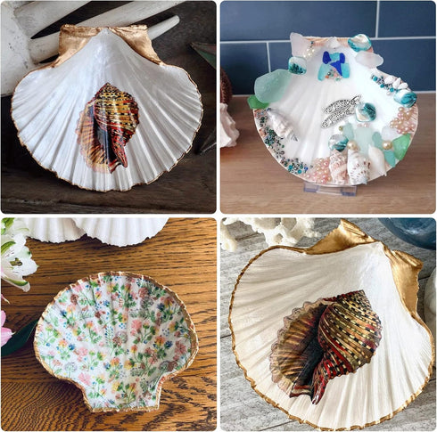 25pcs Scallop Shells for Crafts, 2-3 Inches White Large Natural Seashells for DIY Home Decor, Baking Shells for Serving Food...