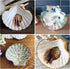 25pcs Scallop Shells for Crafts, 2-3 Inches White Large Natural Seashells for DIY Home Decor, Baking Shells for Serving Food...