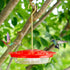 Juegoal 12 oz Hanging Hummingbird Feeder with 8 Feeding Ports...