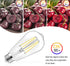 8W LED Light Bulb Edison Bulbs 100 Watt equivalent, Vintage ST58 Dimmable LED Bulbs Bright 960Lumens, E26 Medium Base Antique Clear Glass Filament...