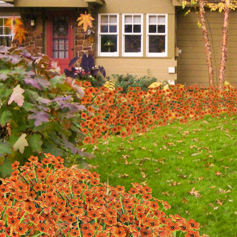 MACTING 6 Bundles Artificial Fall Flowers, UV Resistant Fake Mums, Faux Thanksgiving Flowers for Vase Window Planters Patio Porch Home Indoor Outd...
