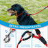 Dog Leash, Braided Rope Traction – Walking Training Lead for Medium/Large Dogs ((1/2") - 2FT, Red)...