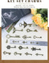 JIALEEY Vintage Skeleton Keys, Wholesale Bulk Lots Mixed Set of 100 Antique Bronze Brass Skeleton Castle Dungeon Pirate Keys, 10.5oz/300g...