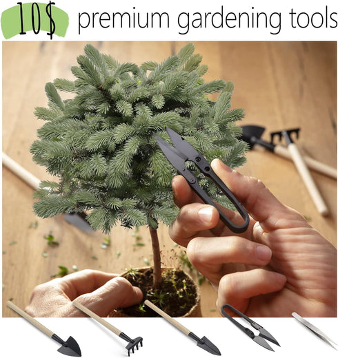 Bonsai Starter Kit – 2X Bonsai Tree | Complete Indoor Starter Kit for Growing Bonsai Plants with Tools & Planters – Gardening Gifts for Women & Me...
