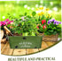 Vintage Flowerpot Plant Container Bucket Metal Pail Flower Pot Raised Garden Boxes Farmhouse Plant Buckets Garden Planter Container Metal Flower B...