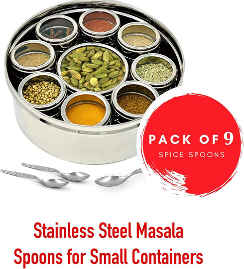 Stainless Steel Masala Spoons for Small Containers Mini Spoon for Masala Dabba Spices Spoons, All Tea Coffee Sugar & Spices 4 inch (9 Pcs)...