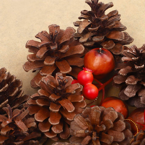 Whaline 25 Pcs 1.6-2.4 Inches Christmas Pine Cones Decoration with String, Natural Rustic Pinecones Bulk Ornaments for Crafting for Home Accent De...
