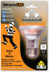 Miracle LED 605027 4 Watt Wide Angle Flood Light Security Bulb, Cool White...