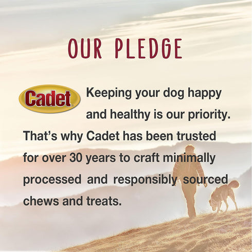 Cadet Gourmet Beef Hide Twist Chew Sticks, Long Lasting & Natural Chew Treats for Dogs, Inspected & Tested in USA, Chicken Flavor (22 Count)...
