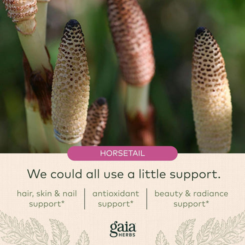 Gaia Herbs Hair, Skin & Nail Support - Helps Promote Healthy Skin, Hair Growth & Nail Growth - with Horsetail, Alfalfa, Burdock, Gotu Kola & Nettl...